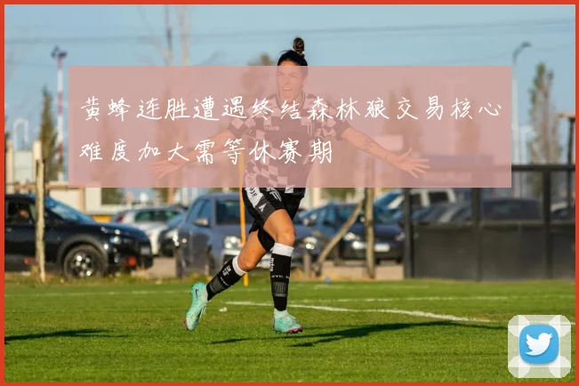 黄蜂连胜遭遇终结森林狼交易核心难度加大需等休赛期